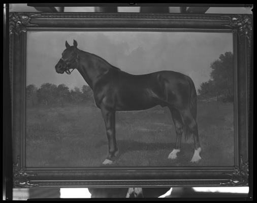Calumet Farm; framed painting of horse