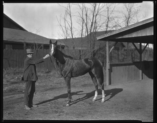 Combs, Leslie J.; horse