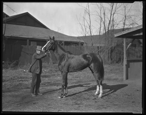 Combs, Leslie J.; horse
