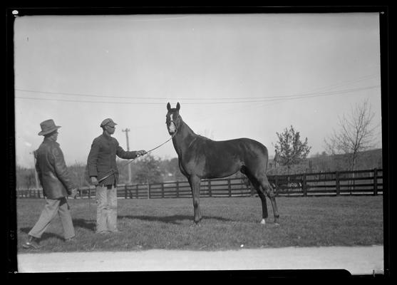 Men and Horses