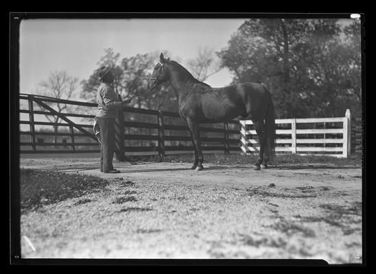 Men and Horses