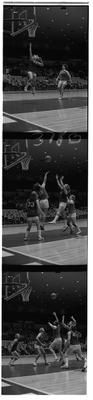 Women's Basketball UK vs. Bellarmine