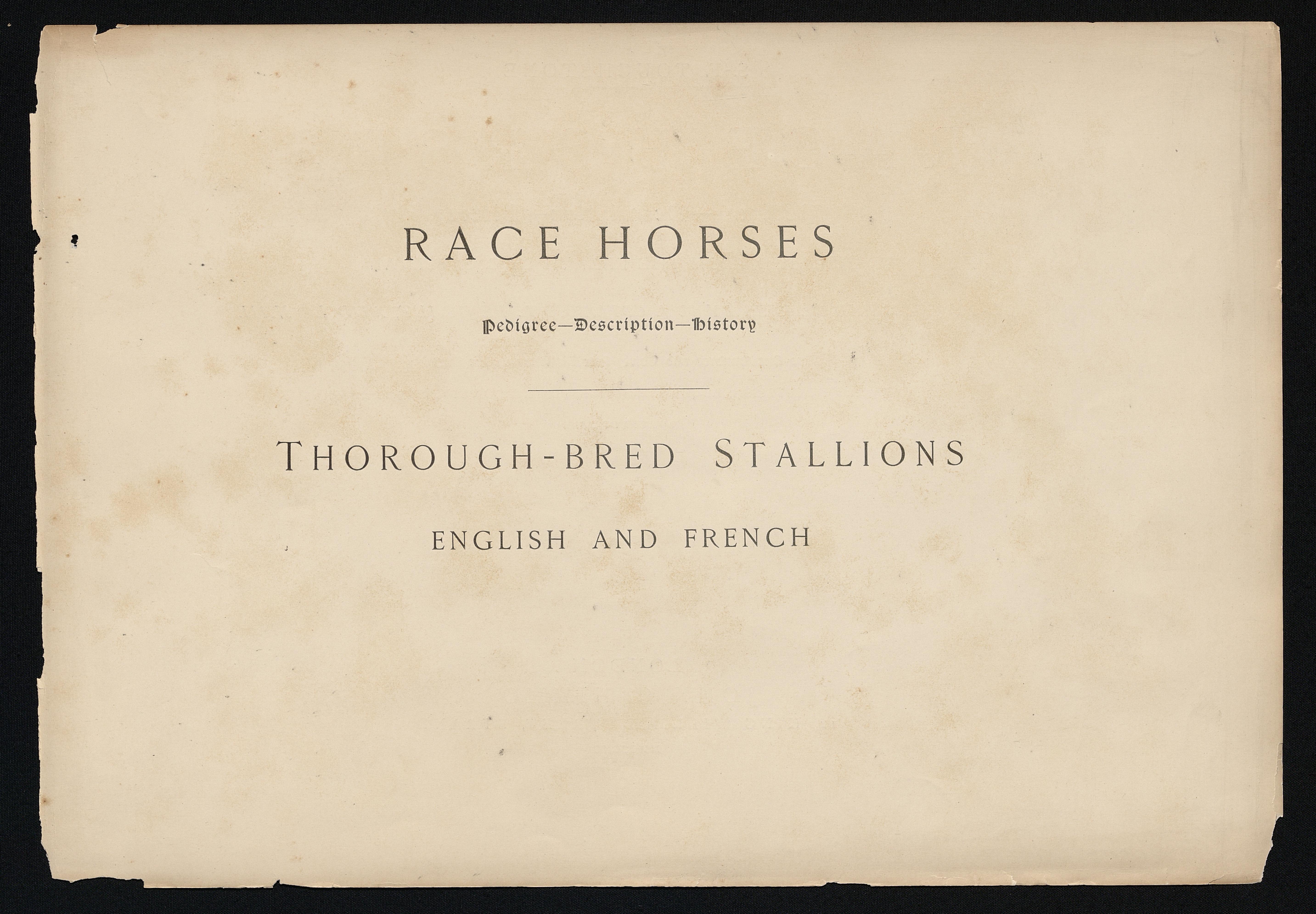 Race horses: Pedigree, Description, History