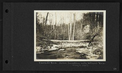 River with log lain across it, notation                          Harrod's Run below Junction with Wilson's Run. May 2, 1907