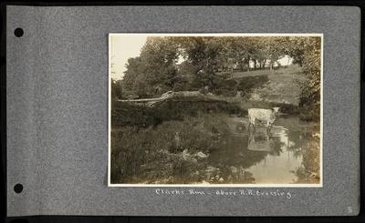 Small river, light colored cow standing in river, stone fencing in background, log across river, notation                          Clarks Run - above R.R. crossing