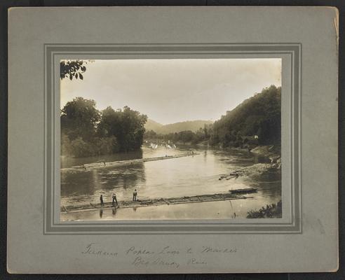 Unidentified males pushing logs on a creek. Bottom of the photograph reads: Taking Poplar Logs, Big Sandy River