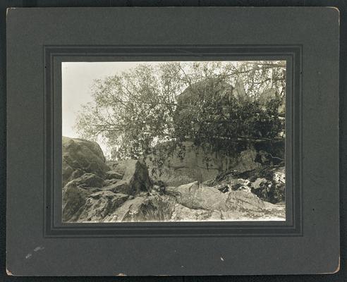 A rocky cliff and trees. Back of the photograph reads: Morehead Scenery