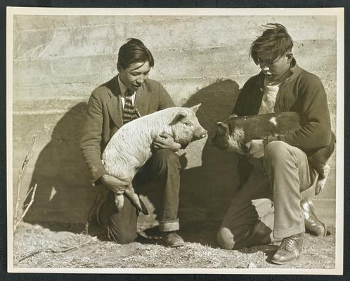 Two unidentified boys holding pigs