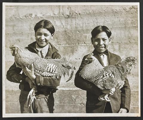 Two unidentified boys holding chickens