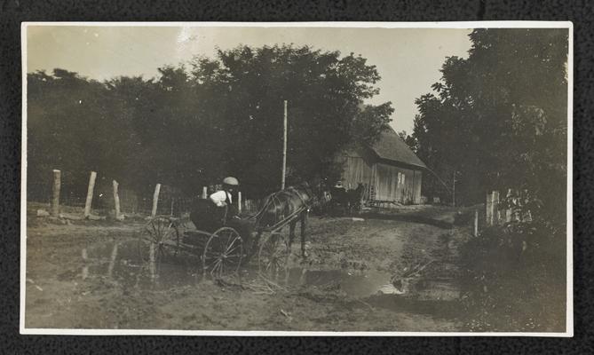 Linvingston County, road just out of Joy, man sitting in a horse drawn buggy