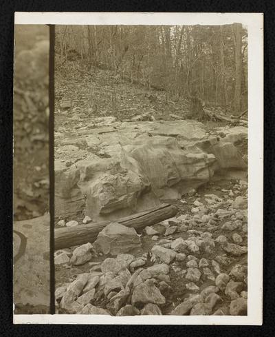 Dirt road in the forst. Back of the photograph reads: The famous big Hill Road, location unknown