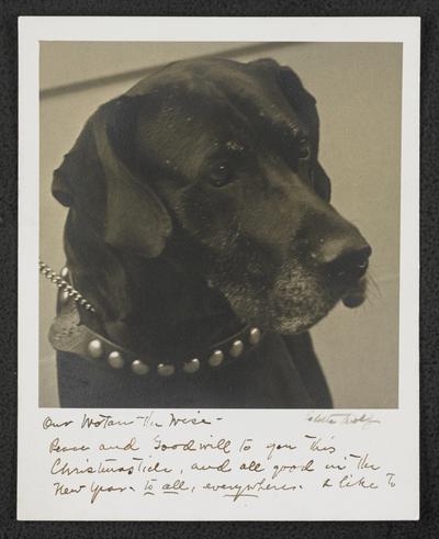 Black dog with collar, handwritten letter on the front and back to Cora Wilson Stewart with Christmas greetings