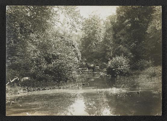 A man in a horse drawn carriage, riding through a creek. The back of the photograph reads: Triplett Creek Scene