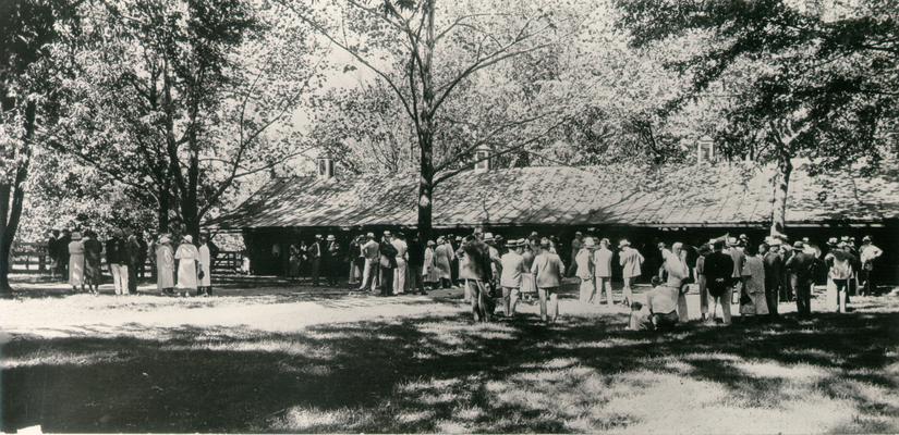 Horses; Auctions and Sales; A large crowd gathered outside the stable