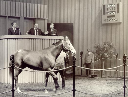 Horses; Auctions and Sales; Keeneland; The bidding ends at $225,000