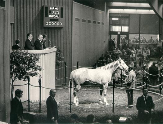 Horses; Auctions and Sales; Keeneland; A horse's bid is at $220,000