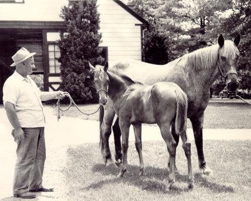 Horse Farms and Owners; Calumet Farm; One man with two horses