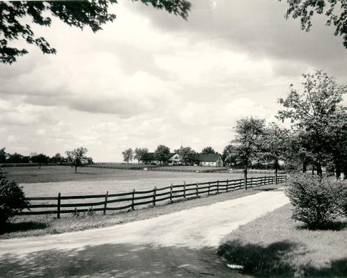 Horse Farms and Owners; Calumet Farm; A road leading to a horse barn