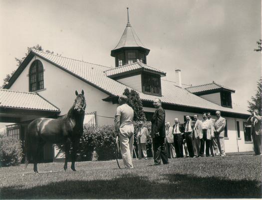 Horse Farms and Owners; Gainesway Farm; Crowd admiring a horse at Gainesway Farm
