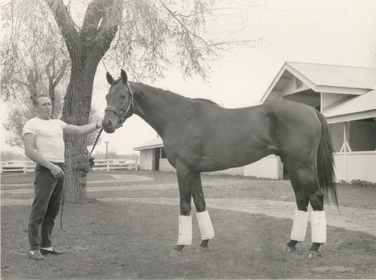 Horse Farms and Owners; Gainesway Farm; Man with a horse standing in front of a tree