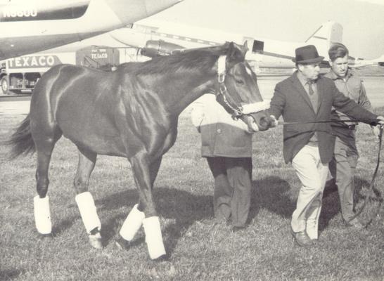 Horse Farms and Owners; Gainesway Farm; John Gaines leads his horse away from the plane