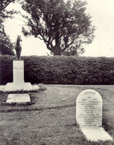 Horse Monuments and Graves; Citation statue and tombstone (Different angle from #1229)