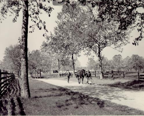Horse Farms and Owners; Unidentified; Two men leading a horse down a trail