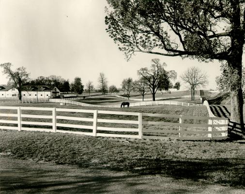 Horse Farms and Owners; Unidentified; Horse farm