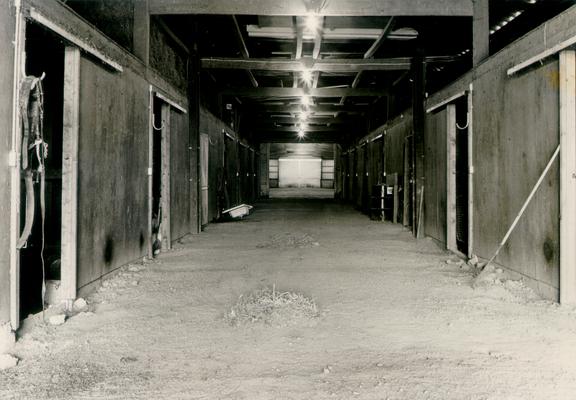 Horse Farms and Owners; Unidentified; Inside of a horse barn