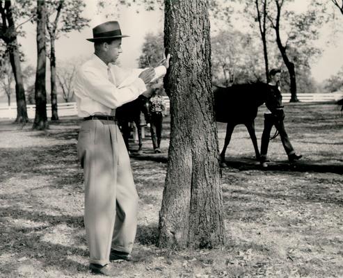Horse Industry; Unidentified; Man holding glasses leaning on a tree