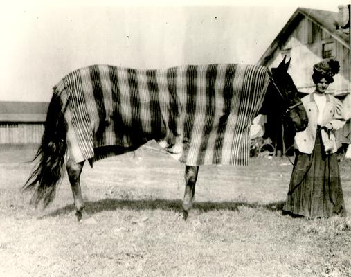 Horse Industry; Unidentified; Woman wearing strange hat leading a horse with a blanket