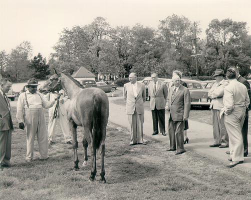 Horses; Single, Unidentified; Crowd admiring a horse