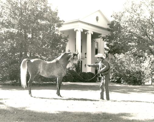 Horses; Single, Unidentified; Man training horse in front of a large house