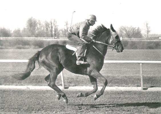 Horses; Single, Unidentified; Jockey racing a horse