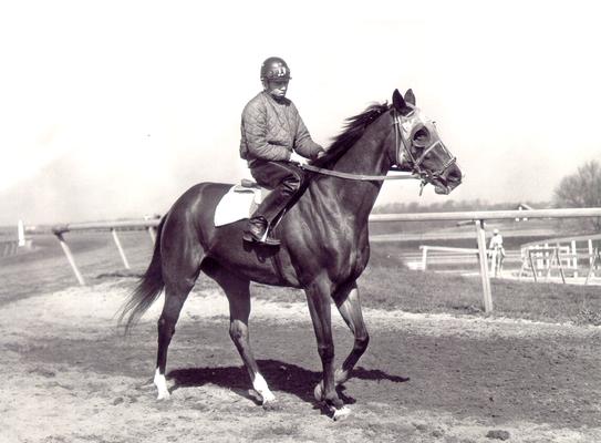 Horses; Single, Unidentified; Jockey with a race horse