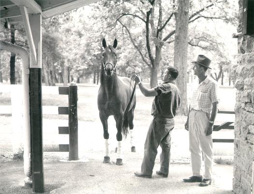 Horses; Single, Unidentified; Two men training a horse