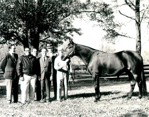 Horses; Single, Unidentified; Six men admiring a horse