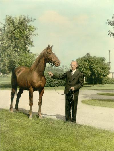 Horses; Single, Unidentified; Man with a horse