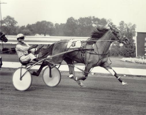 Horses; Buck Passer; Elizabeth; Cedar Ridge running in a race