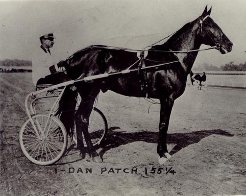 Horses; Buck Passer; Elizabeth; Dan Patch 155 1/4