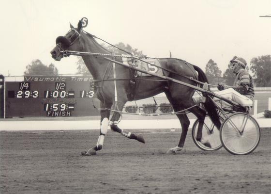 Horses; Buck Passer; Elizabeth; Decorum running in a race in 1972
