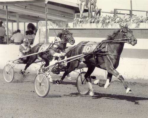 Horses; Buck Passer; Elizabeth; Delmonica Hanover in 2nd heat