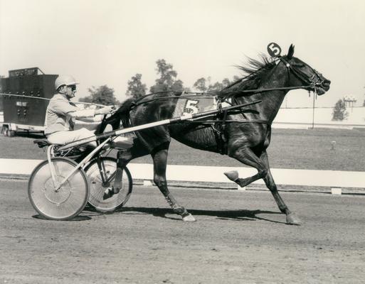 Horses; Buck Passer; Elizabeth; Desert Wind running past the timer