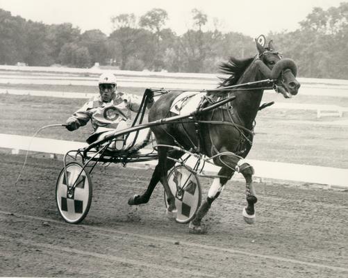 Horses; Great Redeemer; Judger; Judge running a race in 1969