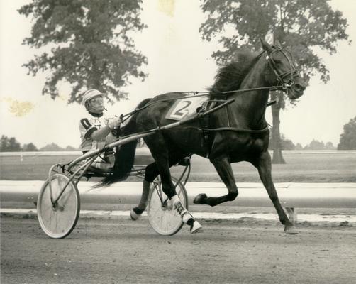 Horses; Kentucky Colonel; Nanseacond Yonkers; Keystone Pioneer in a race