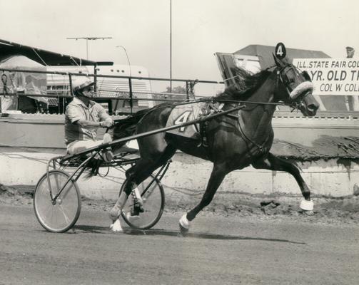 Horses; Kentucky Colonel; Nanseacond Yonkers; Lincoln's Imp at the Illinois State Fair