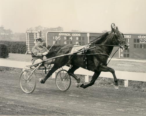 Horses; Kentucky Colonel; Nanseacond Yonkers; Live Dangerously with H. Livingston