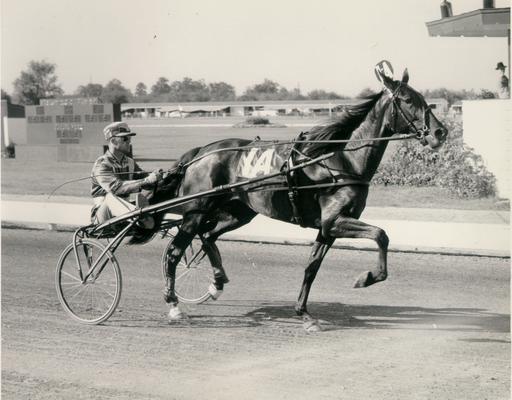Horses; Kentucky Colonel; Nanseacond Yonkers; Lucy Song and rider racing as #1