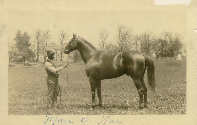 Horses; Kentucky Colonel; Nanseacond Yonkers; Man O' War and unidentified man on a farm