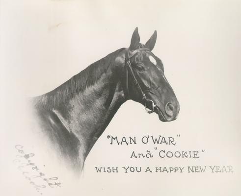 Horses; Kentucky Colonel; Nanseacond Yonkers; 